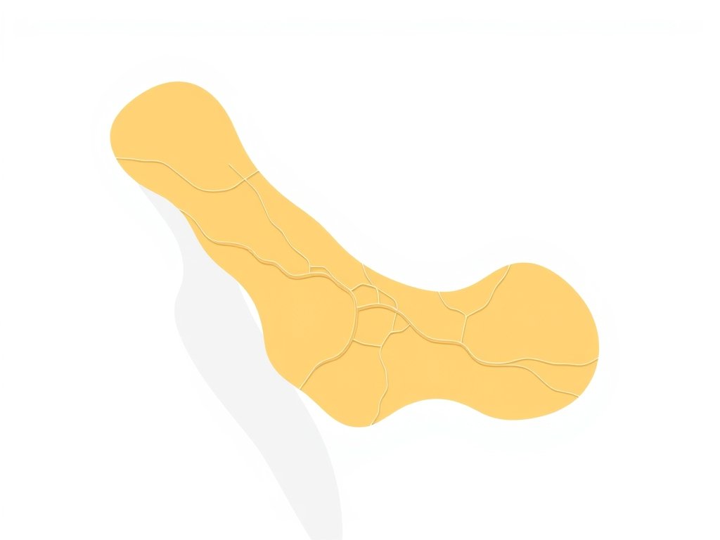 Abstracte vectorillustratie van een kaart van Dubai met rijroutes in warme goud-beige tinten.